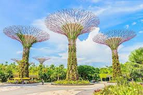 Tour Singapore Trọn Gói Từ Hà Nội Giá Bao Nhiêu 2026? Bảng Giá, Số Ngày Và Chi Phí khác