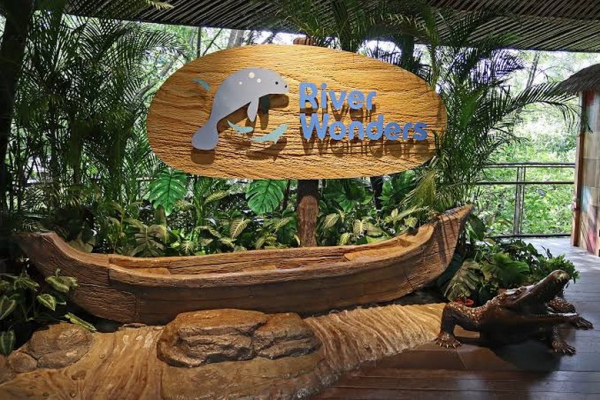 Sở Thú River Wonders Singapore Có Gì Khác Sở Thú Thường? Trải Nghiệm Sông, Gấu Trúc Và Lưu Ý
