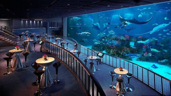 Thủy Cung SEA Aquarium Sentosa Có Phù Hợp Cho Trẻ Nhỏ Không? Giá Vé, Trải Nghiệm Và Lưu Ý