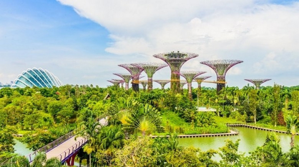 Singapore Có Gì Chơi 2026? Marina Bay, Gardens By The Bay, Sentosa, Merlion Và Các Điểm Nổi Bật