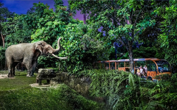 Sở Thú Đêm Night Safari Singapore Có Đáng Trải Nghiệm Không? Giá Vé, Trải Nghiệm Và Lưu Ý