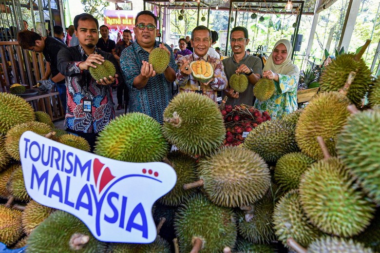 Sầu Riêng Musang King Của Malaysia Có Gì Đặc Biệt? Mùa, Nơi Thử Và Lưu Ý