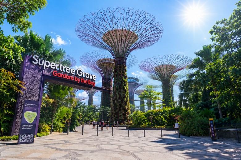 anh-cong-vao-khu-supertree-grove-nhin-tu-ngoai-ban-ngay-ruc-nang