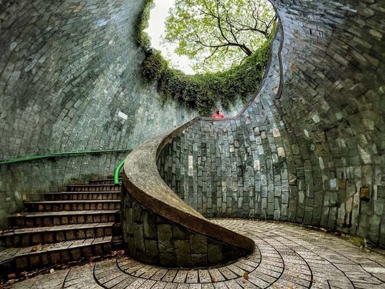 Đường hầm cây Fort Canning Tree Tunnel Singapore