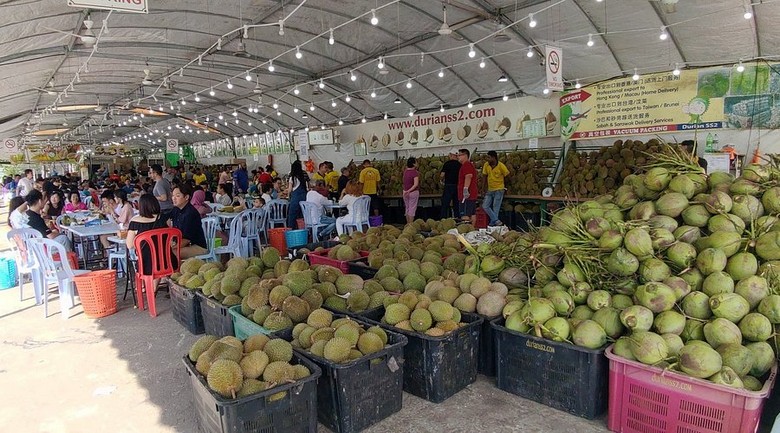 Sầu Riêng Musang King Của Malaysia Có Gì Đặc Biệt? Mùa, Nơi Thử Và Lưu Ý